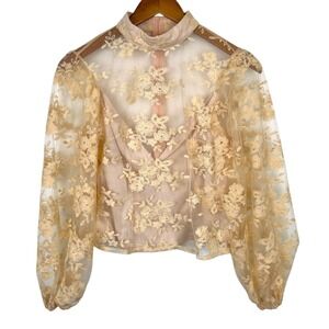 Coquette Romantic Mesh Top Small Fairy Indie Y2K Sheer Victorian High Neck Puff